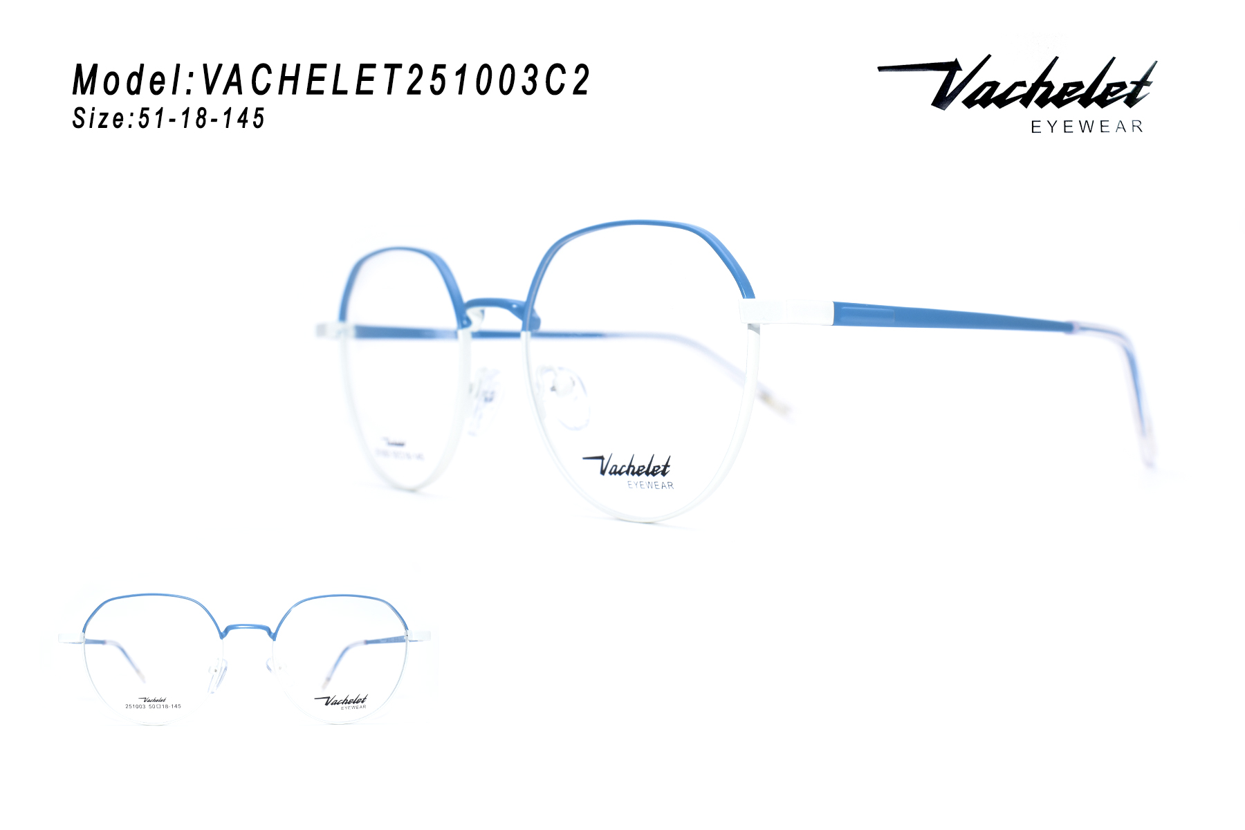 VACHELET251003C2