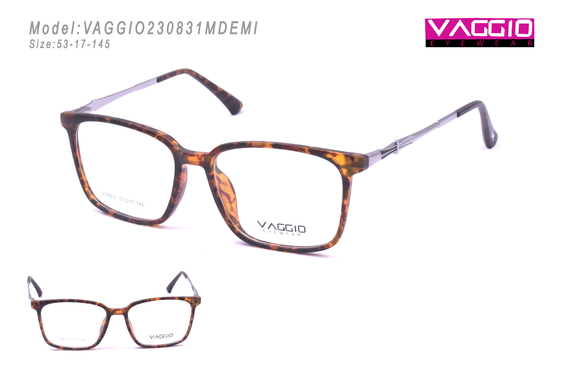 VAGGIO230831MDEMI