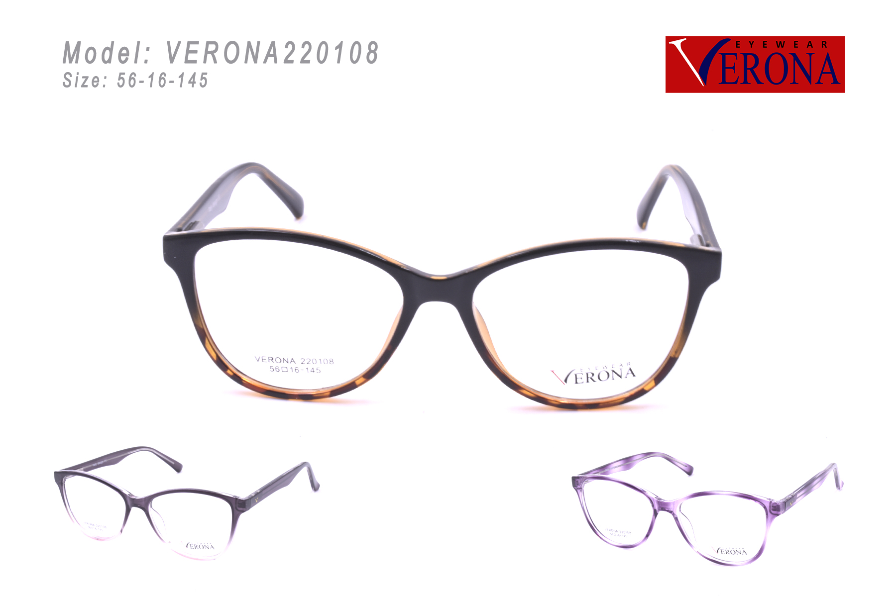 VERONA220108